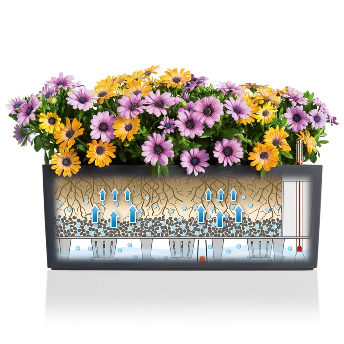 LECHUZA Donica Balconera Color 50 ALL-IN-ONE, szara, 15673