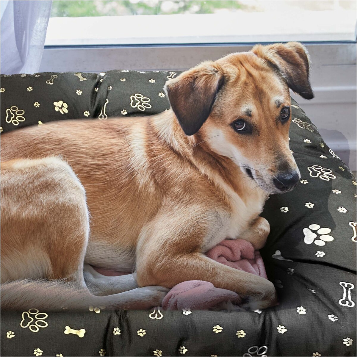 Legowisko Dla Psa Poduszka Posłanie Wytrzymałe 70X50 Cm Kość Złota