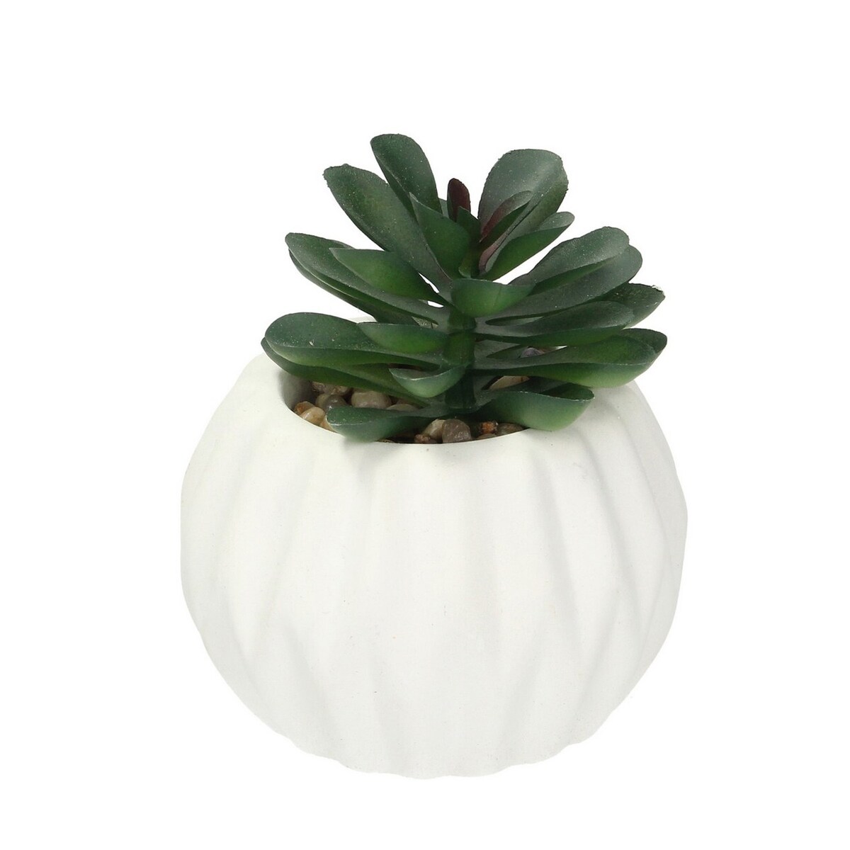 Dekoracja Crasulla 12cm, 8 x 8 x 12 cm