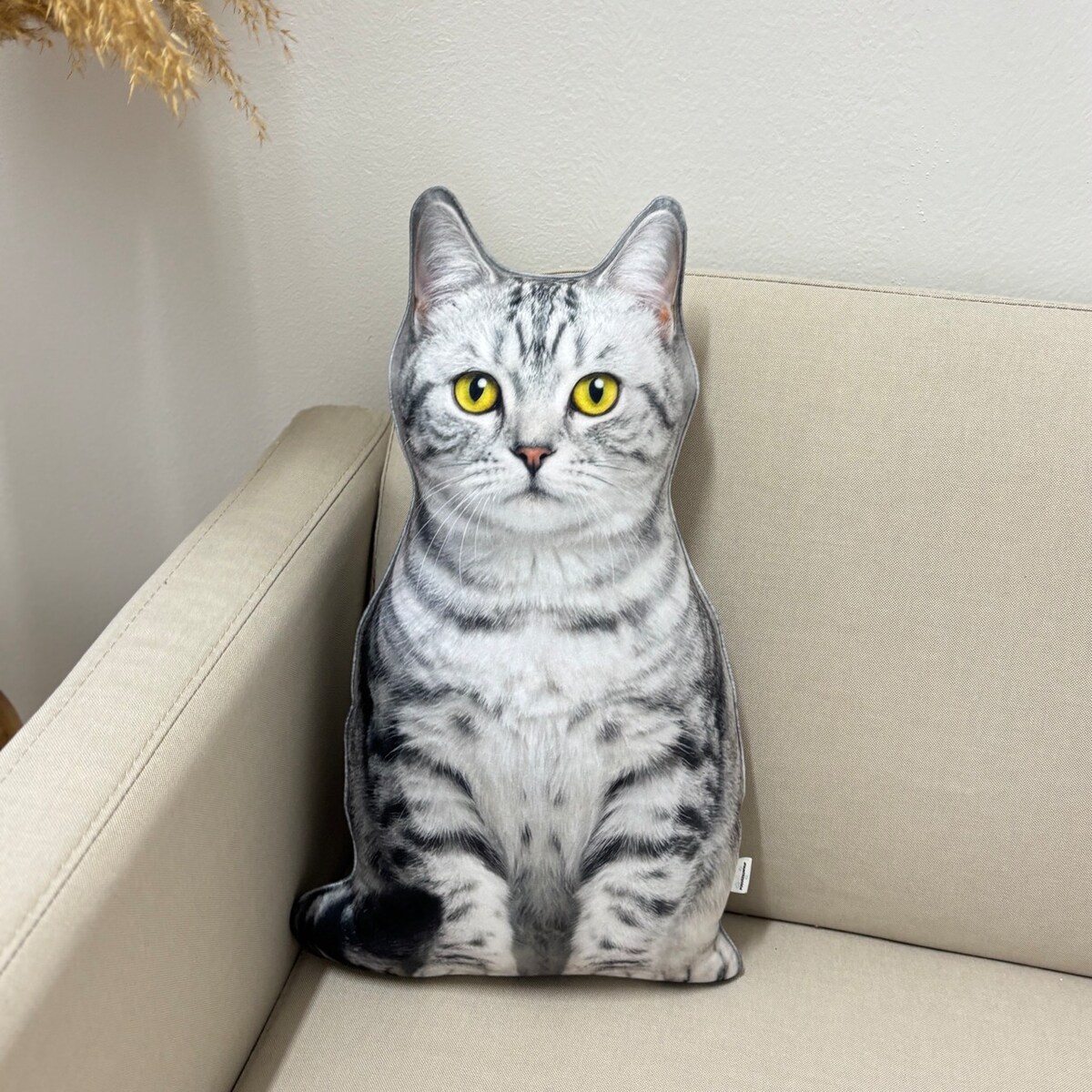 Poduszka dekoracyjna Kot domowy pręgowany srebrzysty jasny szary