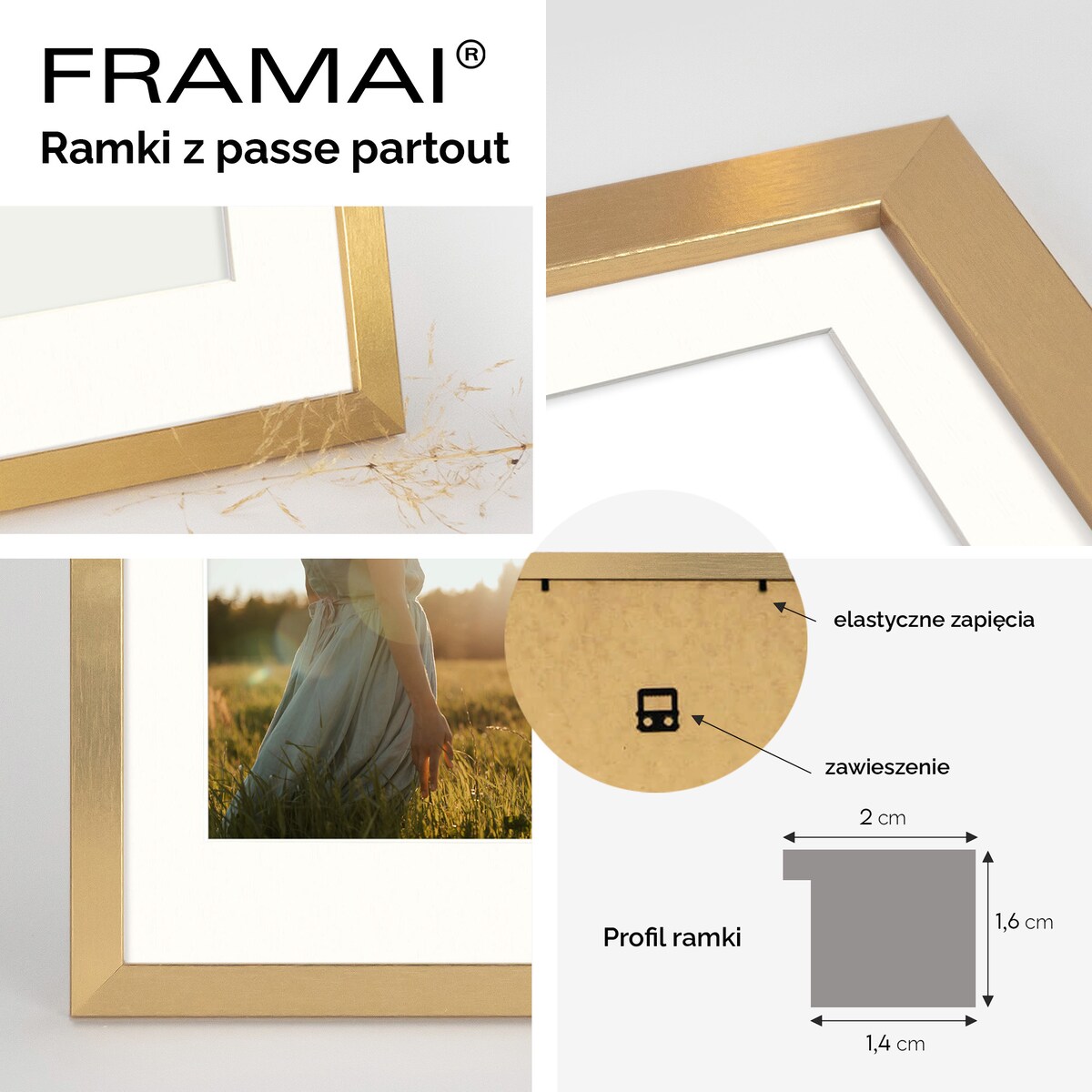 Złota ramka na zdjęcia HEN PASS Z 60x80 cm z passe partout (50x70 cm)