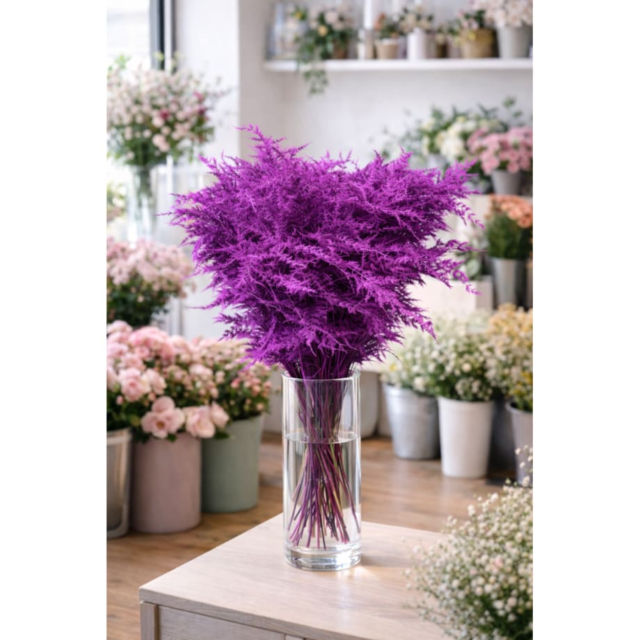 Asparagus Cerise – bukiet , 50 szt., wysokość ok. 80 cm, 550–600 g