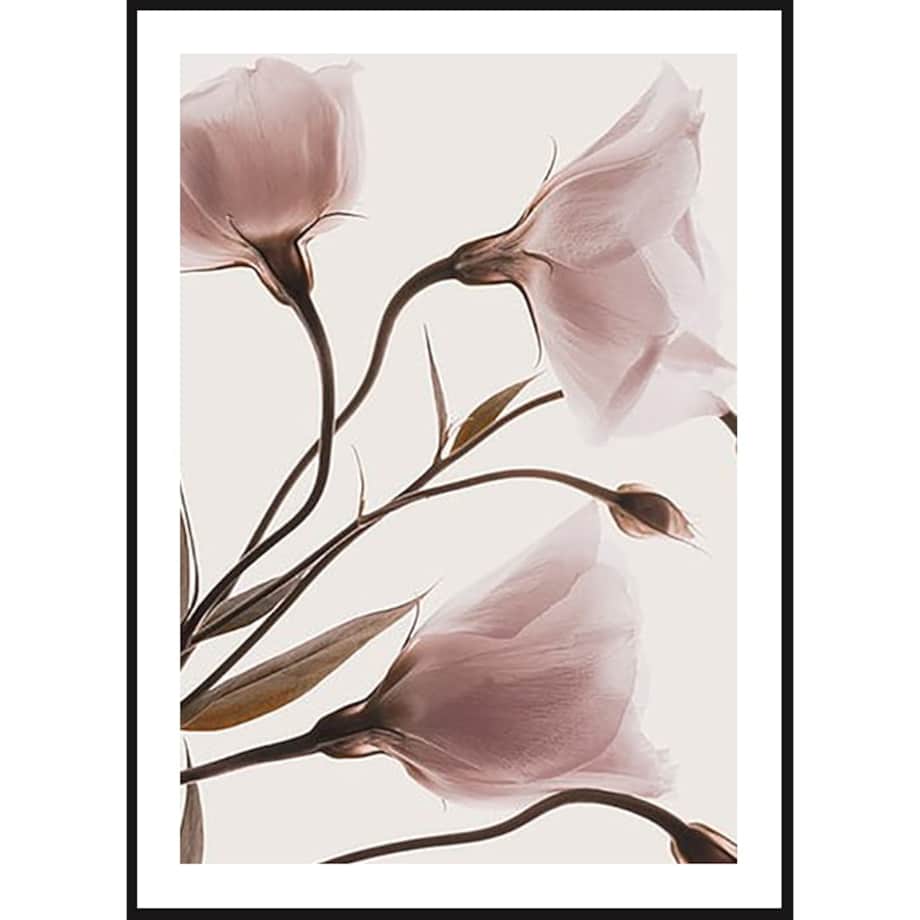 Poster Story, Plakat, Obraz - Różowe Pastelowe Kwiaty No1, wymiary 50 x 70 cm