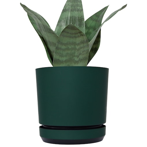 12 cm wzór ZIELONA BUTELKOWA Doniczka z podstawką ciemna zieleń satynowa matowa