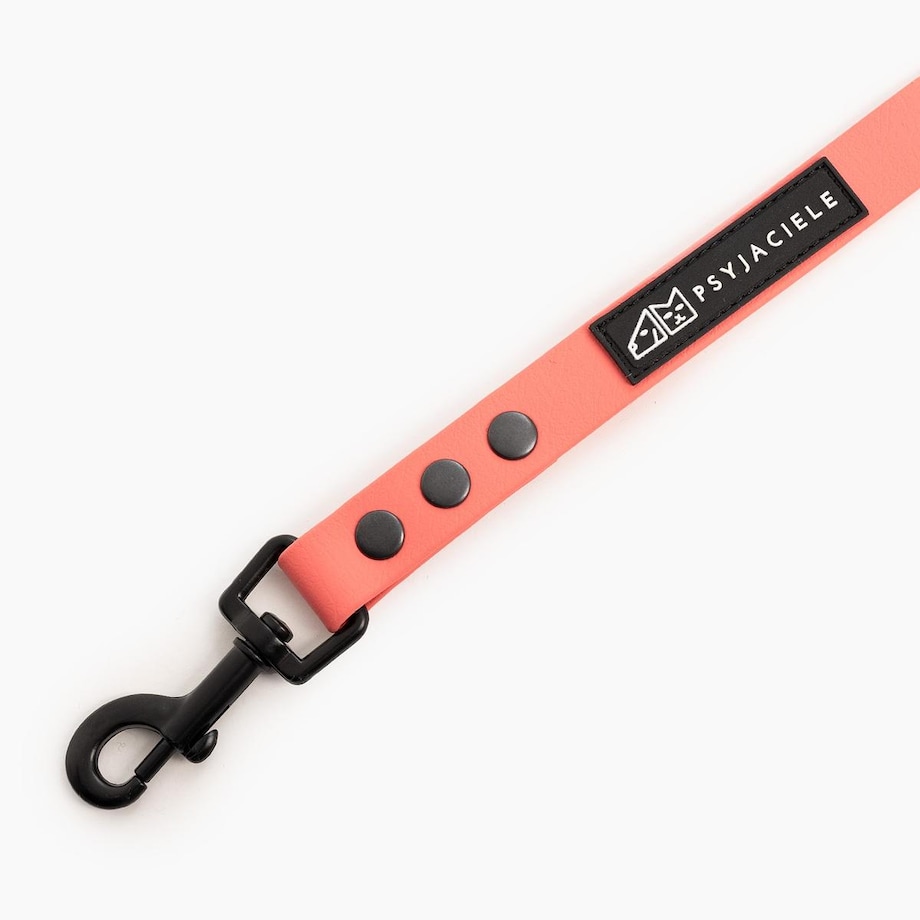 Smycz miejska Biothane® dla psa lub kota "Coral AF" - Rozmiar: M, Szerokość taśmy: 19mm