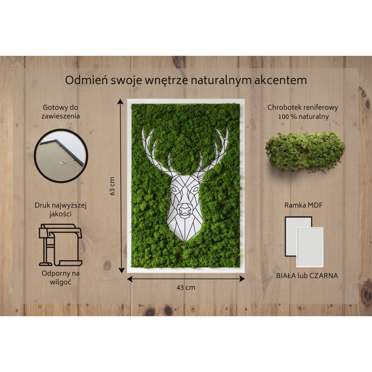 Obraz Geometryczny jeleń - mech chrobotek w białej ramie 40x60cm