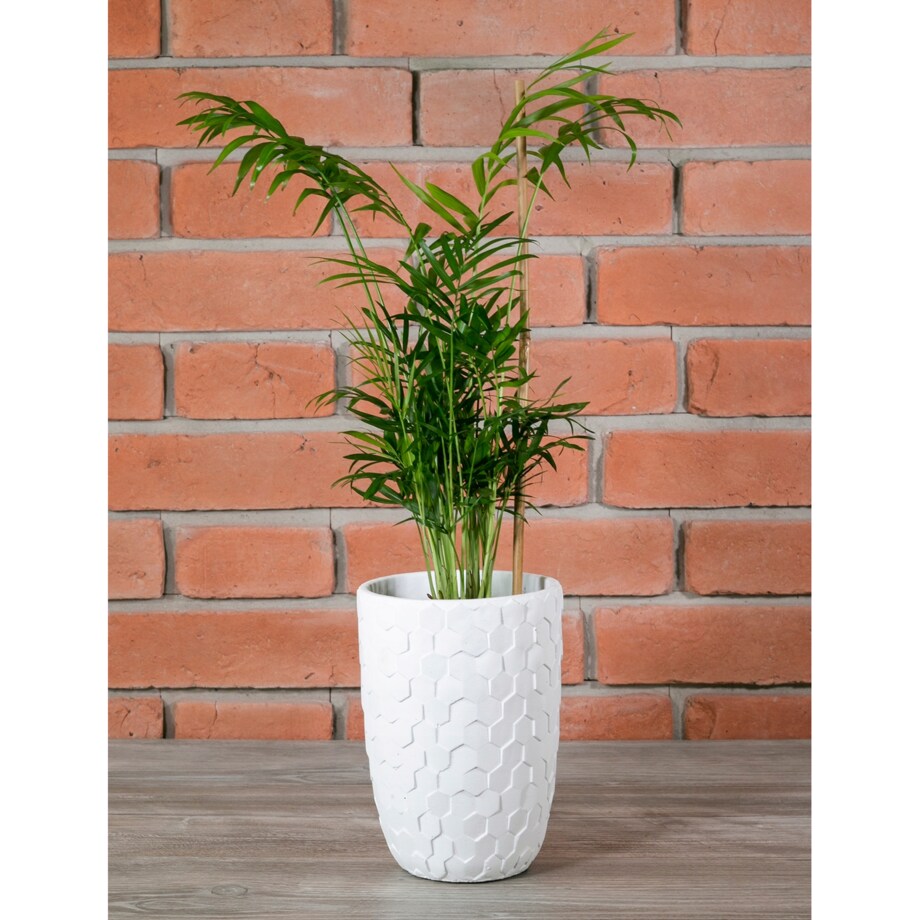 DONICA CUBE betonowa wysoka śr. 15cm