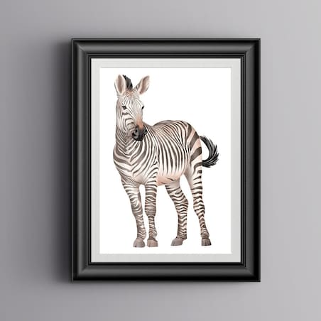 Plakat dla dzieci Zebra 20x30