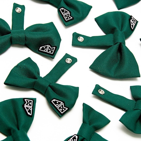 Muszka "Zzielenieją z zazdrości" - Rozmiar: L