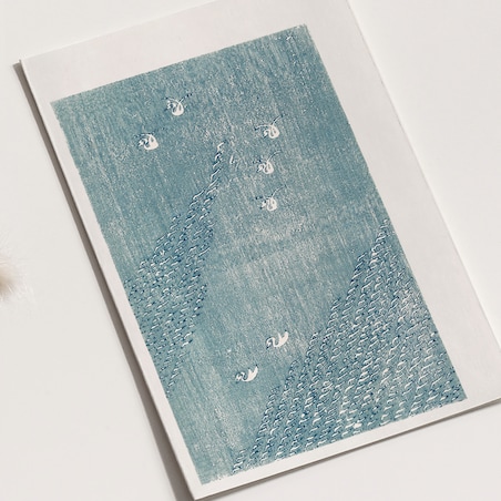 Plakat Wodne ptaki Tomoki 21x30cm