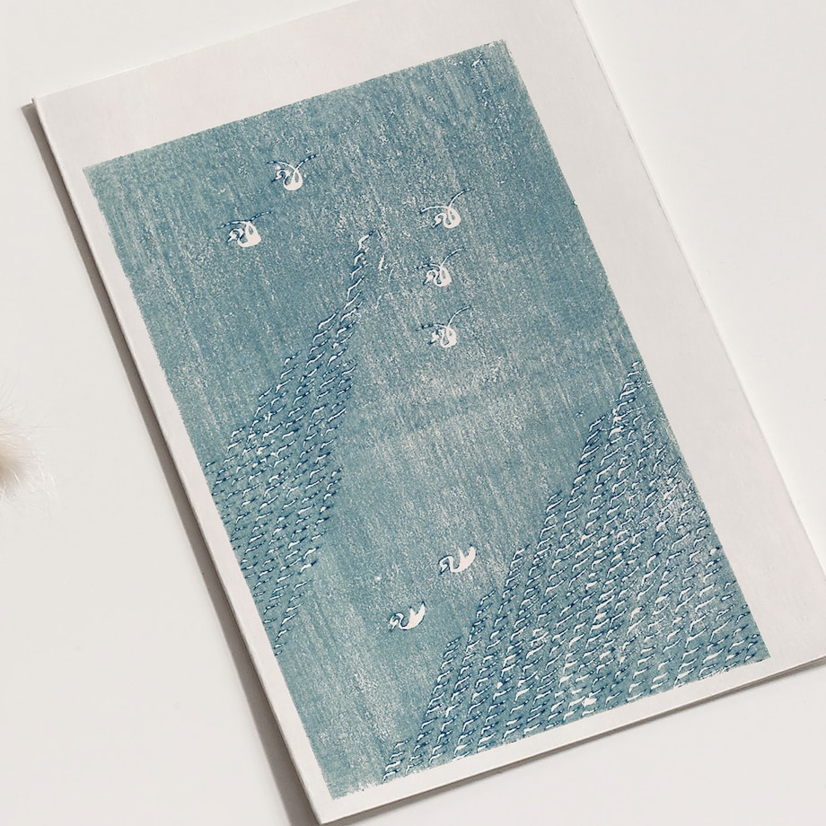 Plakat Wodne ptaki Tomoki 21x30cm