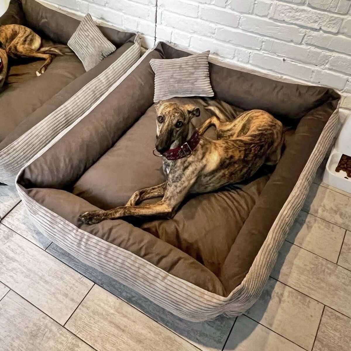 Sztruksowe legowisko dla psa MOLLY, 60x40 cm, Brąz