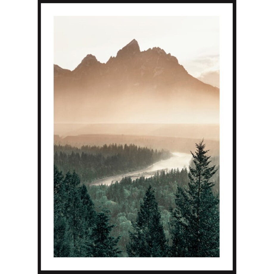 Poster Story, Plakat, Obraz - Las Sosnowy w Górach, wymiary 50 x 70 cm