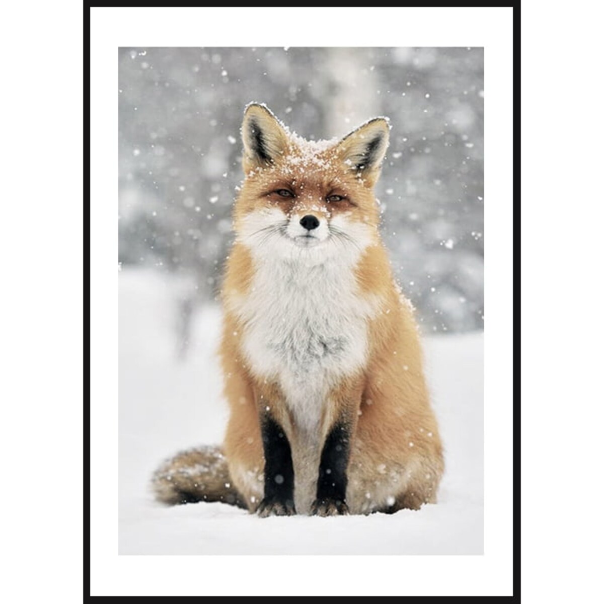 Poster Story, Plakat, Obraz - Lis w Płatkach Śniegu, wymiary 30 x 42 cm