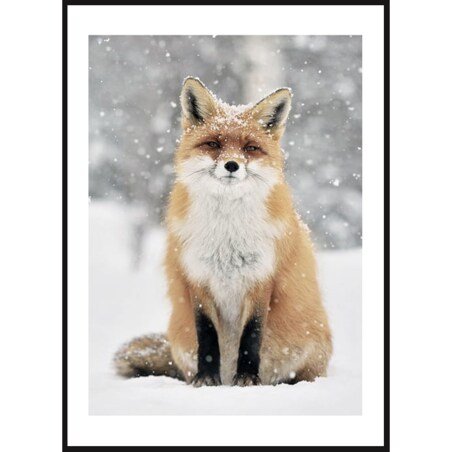 Poster Story, Plakat, Obraz - Lis w Płatkach Śniegu, wymiary 30 x 42 cm