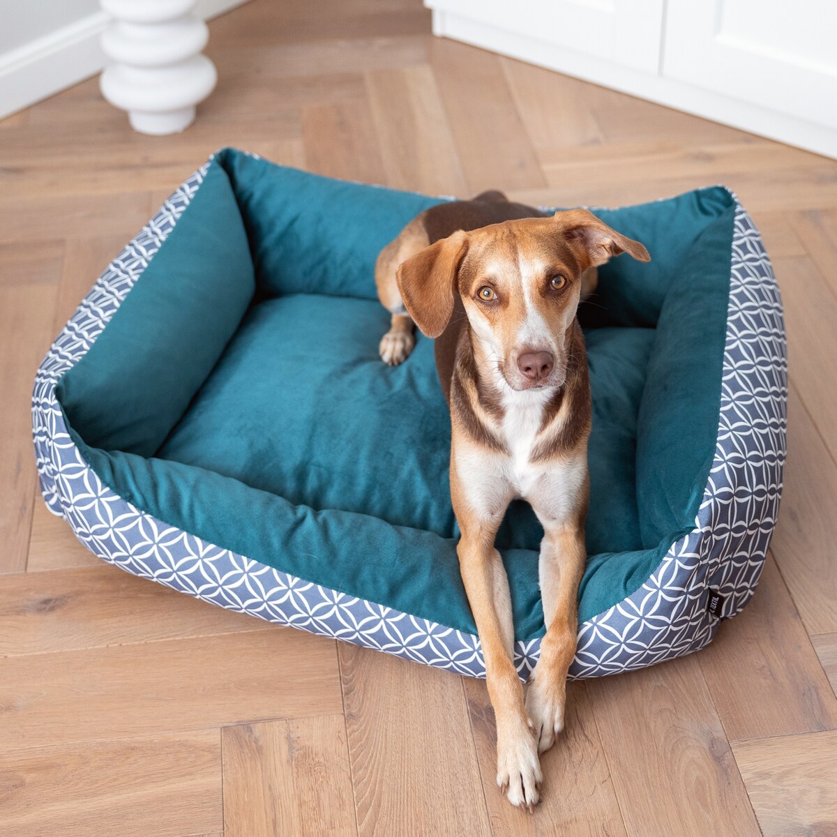 Stylowe legowisko dla psa OTTO, 80x60 cm, Turkus