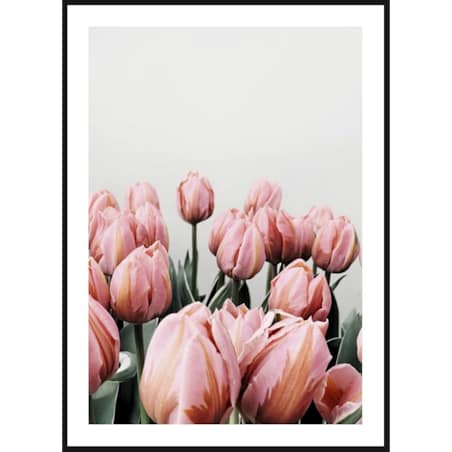 Poster Story, Plakat, Obraz - Różowe Tulipany na Szarym Tle, wymiary 21 x 30 cm