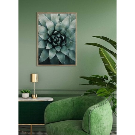 Poster Story, Plakat, Obraz - Sukulent w Zbliżeniu, wymiary 30 x 42 cm