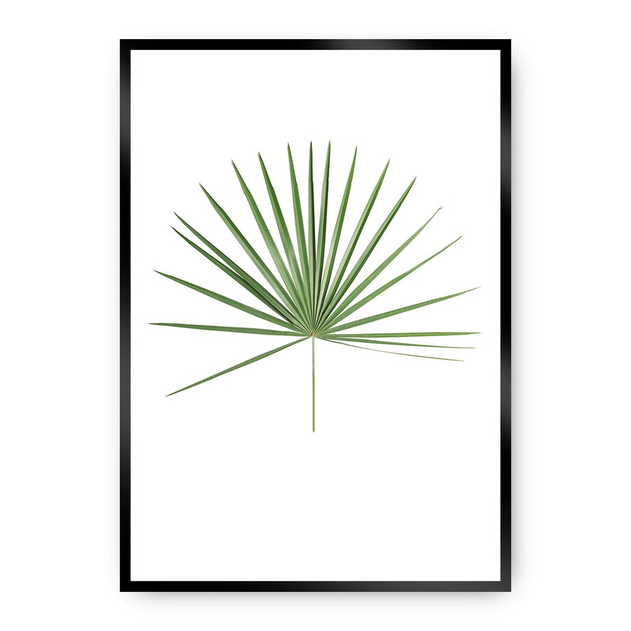 Plakat Tropical Leaf Green, 50 x 70 cm, Ramka: Czarna