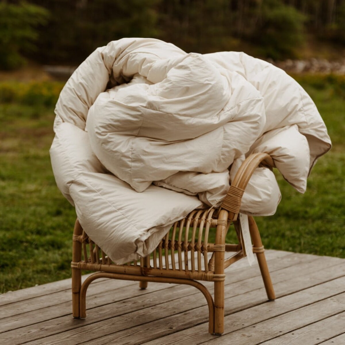 Kołdra Organic Cotton Całoroczna, 220 x 200 cm, AMZ