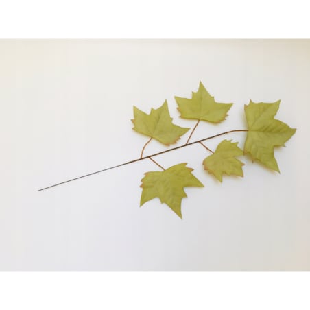 LIŚĆ PIK dodatek do bukietu stroika JASNY ZIELONY kompozycja gałązka klonu