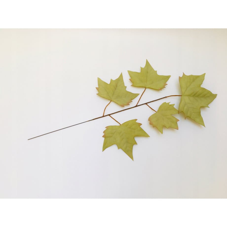 LIŚĆ PIK dodatek do bukietu stroika JASNY ZIELONY kompozycja gałązka klonu