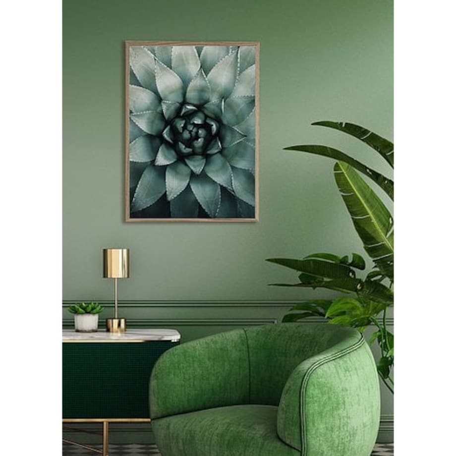 Poster Story, Plakat, Obraz - Sukulent w Zbliżeniu, wymiary 70 x 100 cm