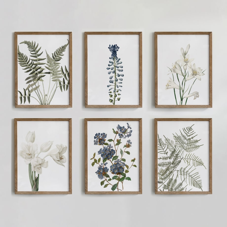 Zestaw 6 Ilustracji 30x40cm