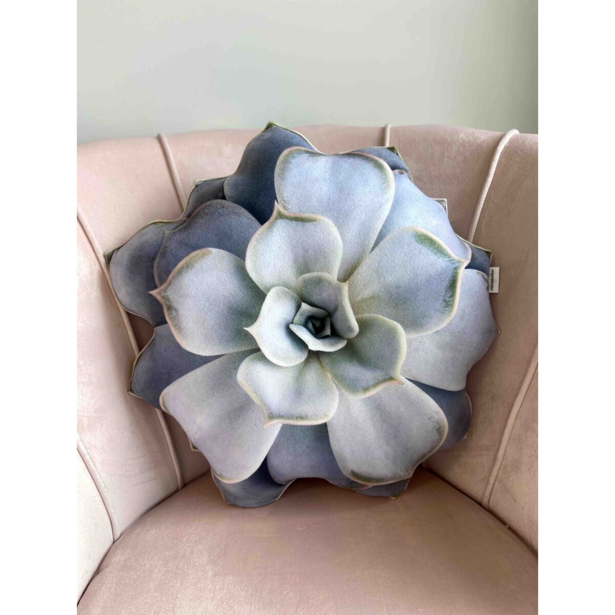 Poduszka duża Sukulent Echeveria Eszeweria