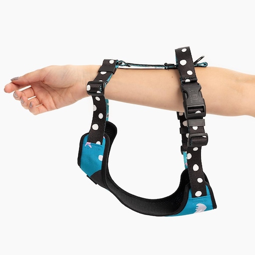 Szelki bezuciskowe dla psa lub kota "Łot de fok?" - Szerokość taśmy: 38mm, Rozmiar: M