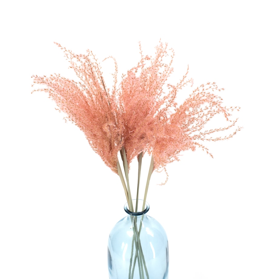 Miskant jasnoróżowy suszony 5 szt. - suszone trawy