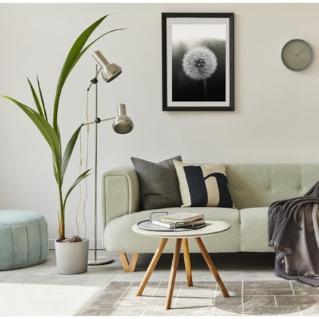 Poster Story, Plakat, Obraz - Dmuchawiec na Czarnym Tle, wymiary 50 x 70 cm