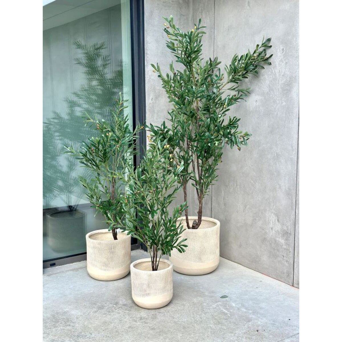 DRZEWKO OLIWNE 120 cm