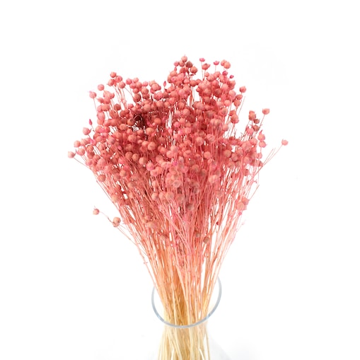 Suszony Len Jasnoróżowy