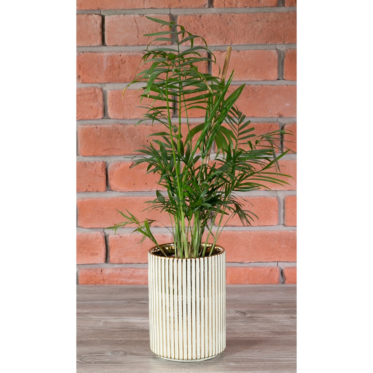 DONICA RAND styl glamour zielona śr. 13cm