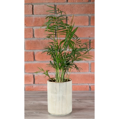 DONICA RAND styl glamour zielona śr. 13cm