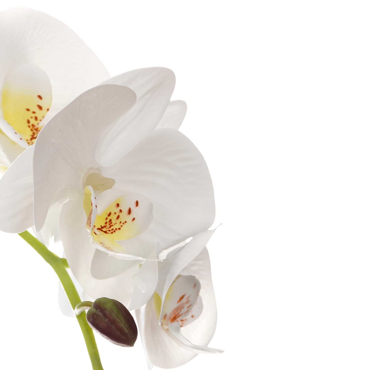 Sztuczny storczyk w doniczce z cementu ORCHI, 56 cm