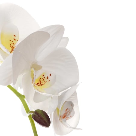 Sztuczny storczyk w doniczce z cementu ORCHI, 56 cm