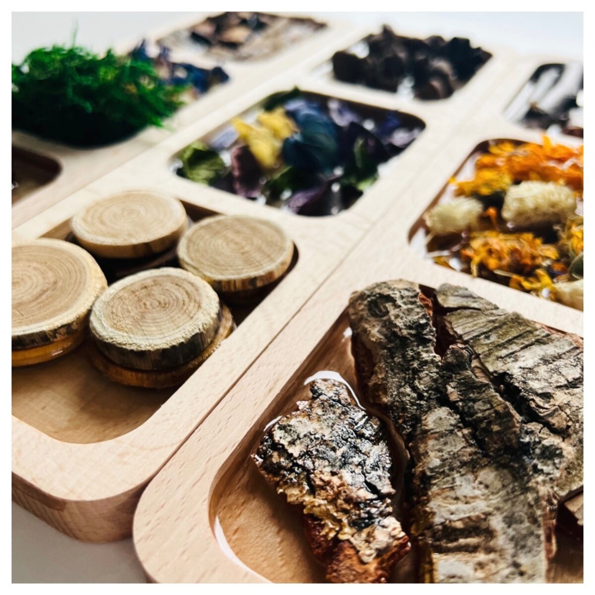 Dyski sensoryczne LEŚNA ŚCIEŻKA