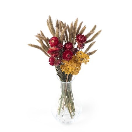 Zestaw suszonych kwiatów Tramonto roz. S - krwawnik, kocanka, setaria