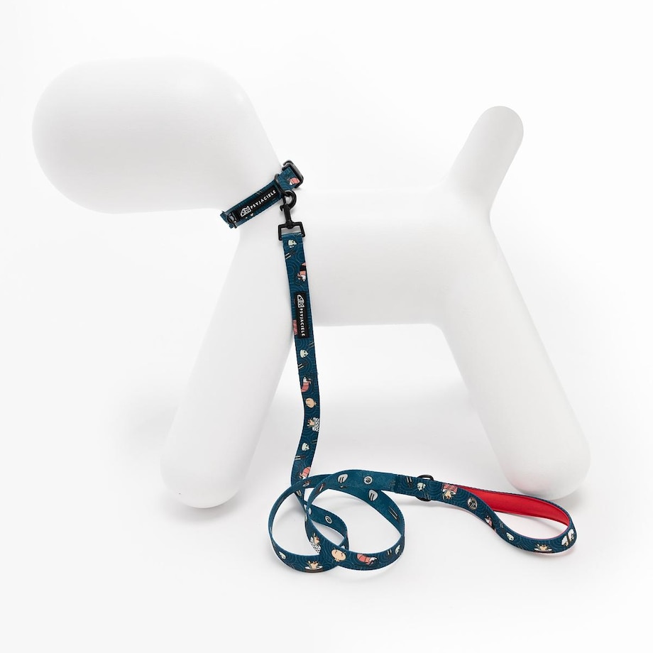 Obroża dla psa lub kota "Psutomaki" - Szerokość taśmy: 25mm, Rozmiar: XL