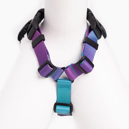 Szelki guard Stay on "Piesss" - Szerokość taśmy: 25mm, Rozmiar: L