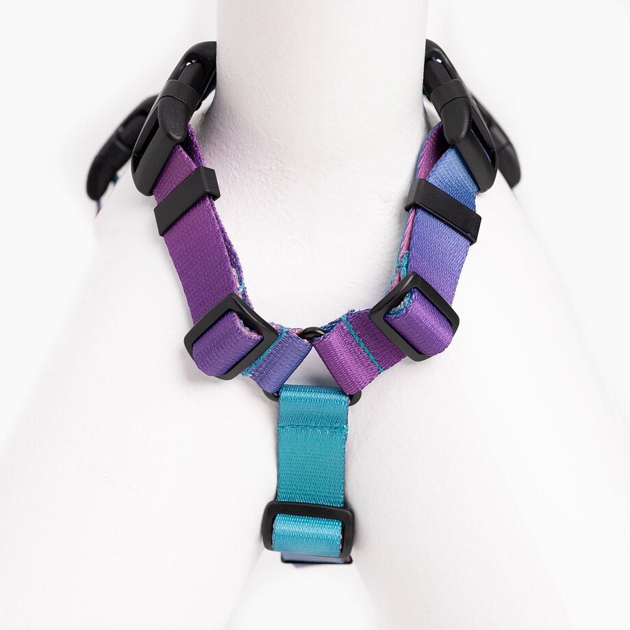 Szelki guard Stay on "Piesss" - Szerokość taśmy: 25mm, Rozmiar: L