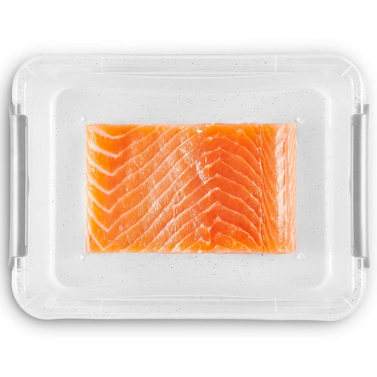 Pojemnik Plastikowy Pudełko Z Pokrywą Na Żywność Antybakteryjne 3X 0,35L