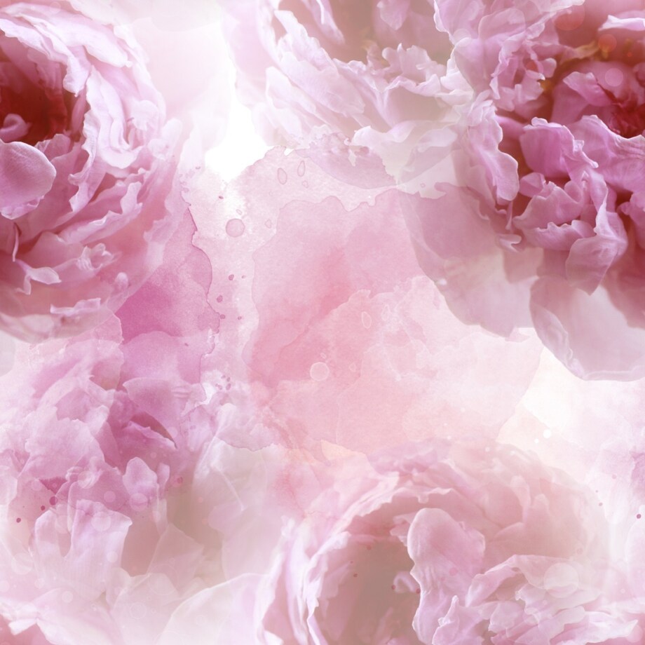 Tapeta różowe piwonie kwiaty efekt 3D