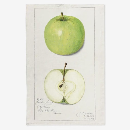 Lniany ręcznik kuchenny - zielone jabłko