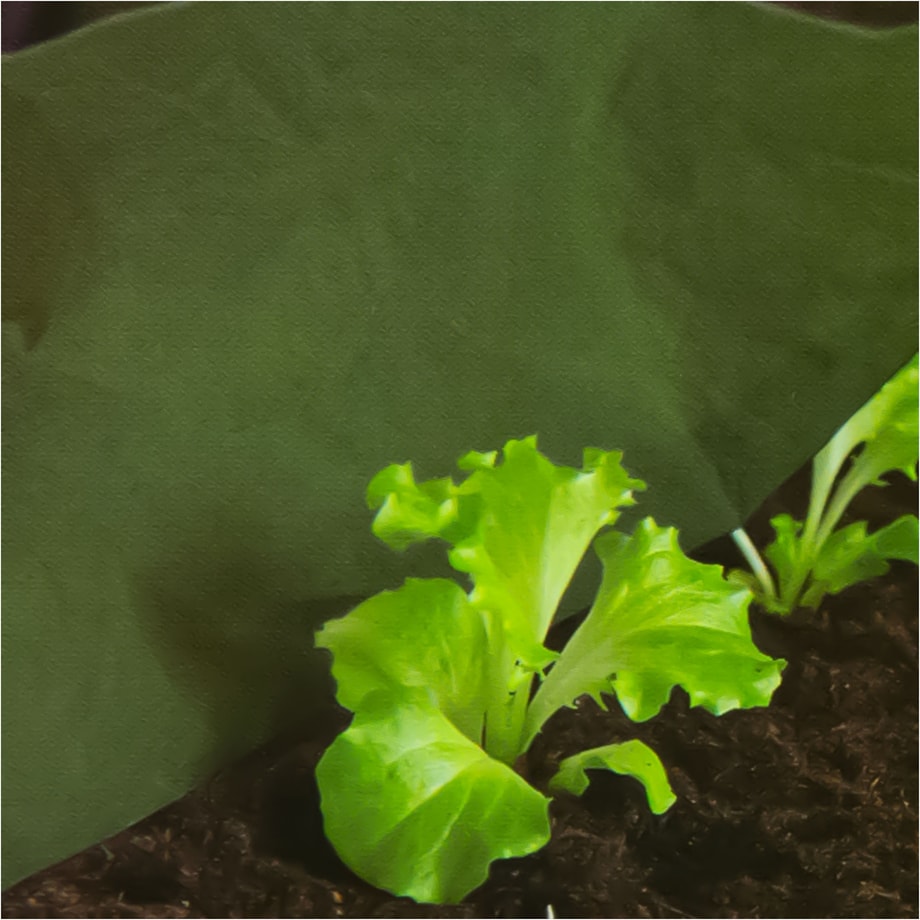 Agrowłóknina Agrotkanina 1X10 M Na Rośliny + Szpilki Kotwy 12,5 Cm