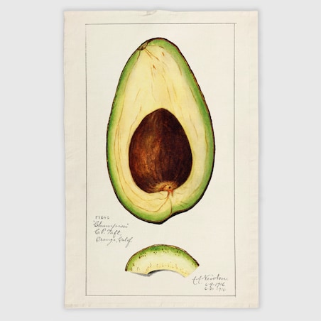 ścierka kuchenna lniana - awokado 50x70 cm