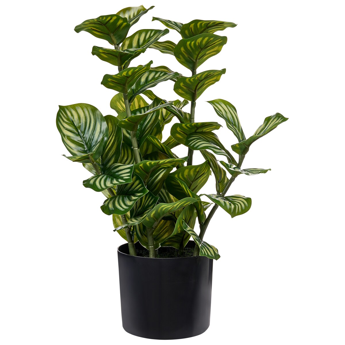 Sztuczna roślina ORBIFOLIA 50 cm Zielony