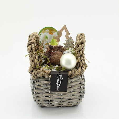 Kompozycja AMARYLLIS w koszyku | Doniczka Ø14cm | Wysokość ok. 25 cm